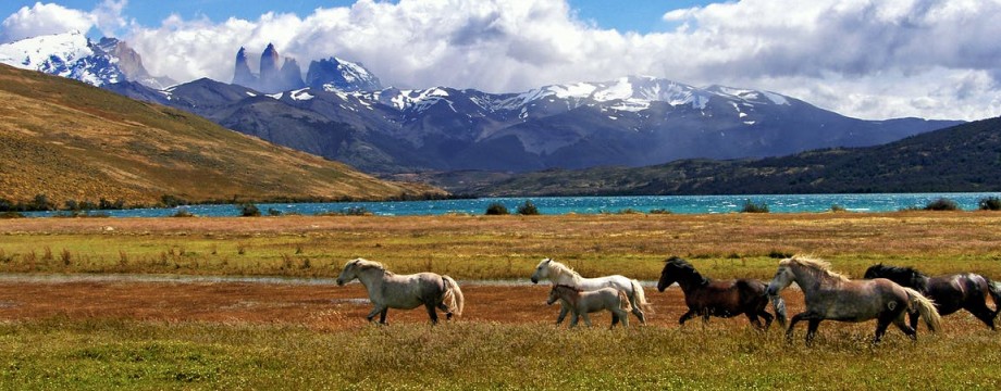 Visiter Patagonie